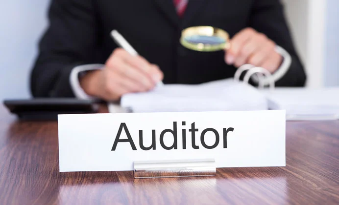 Аудитор-1.jpg