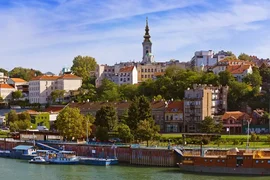 Без названия.webp