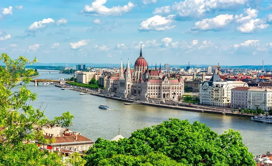 Без названия.webp