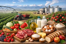 ChatGPT Image 5 февр. 2026 г., 09_42_04.png