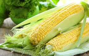 Corn_Closeup_553036_2880x1800_1x.jpg