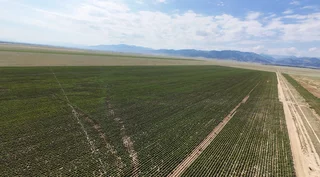 DJI_20260620115820_0073_D.jpg