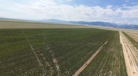 DJI_20260620115820_0073_D.jpg
