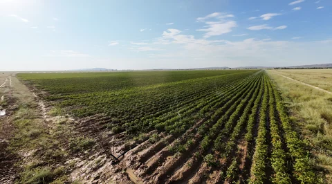 DJI_20260625203431_0107_D.jpg