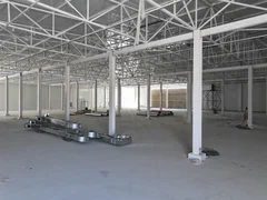 DJI_20260816172030_0651_D.JPG