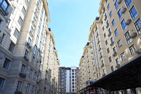 DOS_8668.jpg