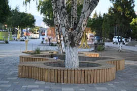 DSC_2120.JPG