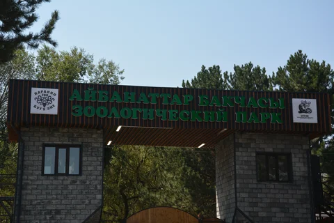 DSC_9531.JPG