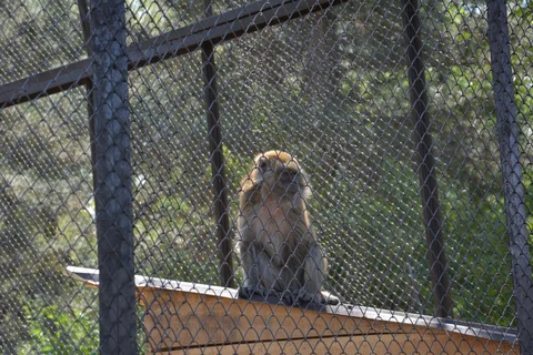 DSC_9535.JPG