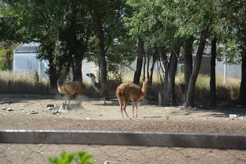 DSC_9544.JPG