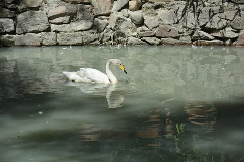 DSC_9557.JPG