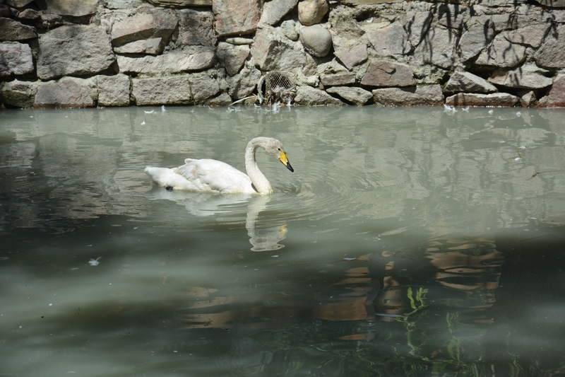 DSC_9557.JPG