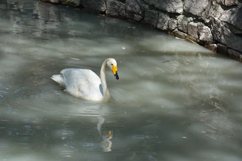 DSC_9558.JPG