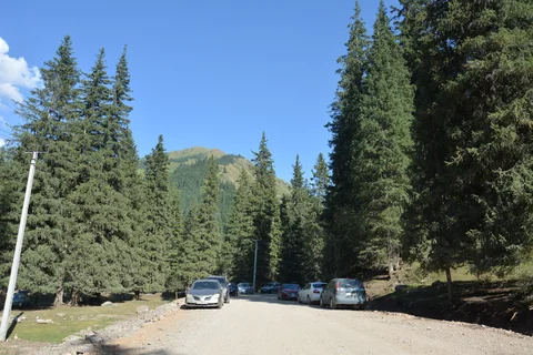 DSC_9628.JPG
