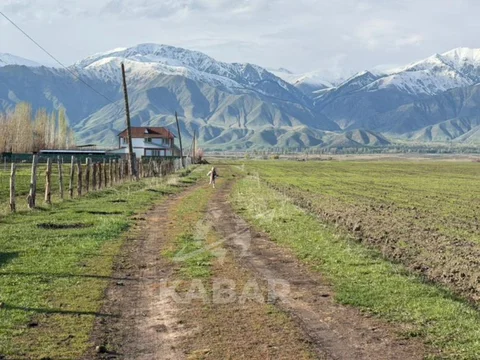 Дизайн без названия (2).jpg