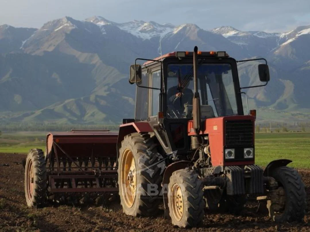 Дизайн без названия (3).jpg