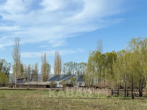 Дизайн без названия (9).jpg
