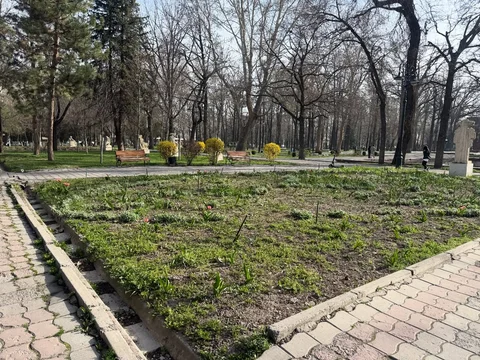 Дубовый парк2.jpg