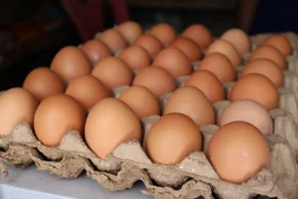 Eggs_Chicken.jpg