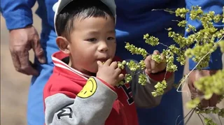 FOREIGN17478934037916N6WLHKYZ6.jpg