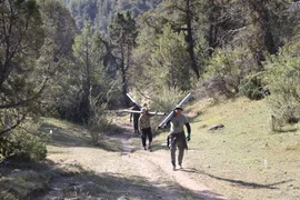 IMG-20260807-WA0101.jpg