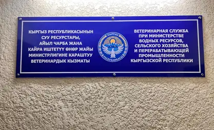 Ветеринарную службу реорганизовали и переименовали