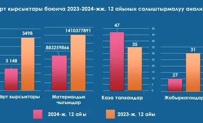 В Кыргызстане за 2024 год  ущерб от возгораний составил более 883 млн сомов