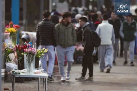 IMG_0246.webp