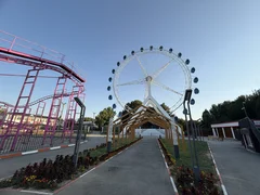 IMG_1563.jpeg