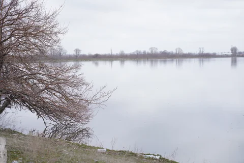 IMG_1863.JPG