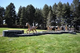 IMG_1884.jpeg