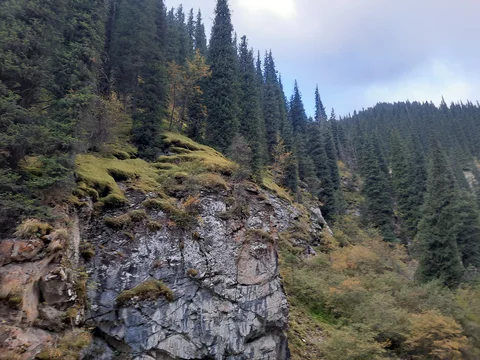 IMG_20250902_093313_638.jpg