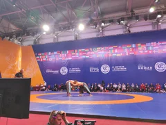 IMG_20260906_130328.jpg