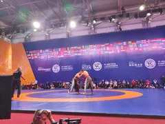IMG_20260906_130334.jpg
