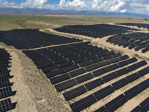 IMG_2872.jpeg