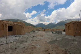 IMG_5040.jpeg