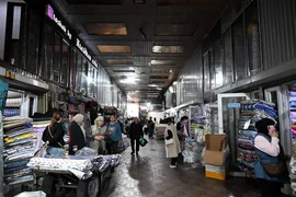 IMG_5131.jpeg