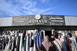 IMG_5134.jpeg
