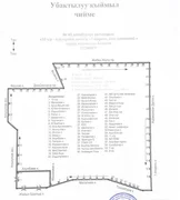 IMG_7709.jpeg