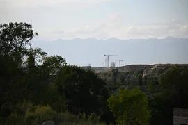 IMG_7985.jpeg