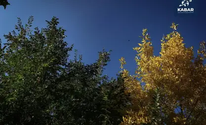 Прогноз погоды на 26 октября