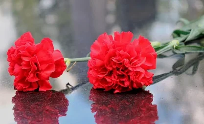 IMG_8092.webp