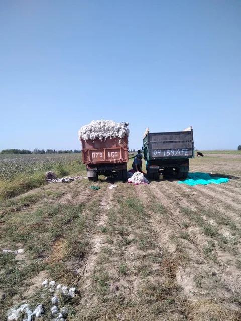 Изображение WhatsApp 2025-09-19 в 09.53.58_46d8c7b4.jpg