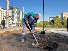 Изображение WhatsApp 2025-10-15 в 16.48.28_571454e9.jpg