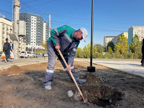 Изображение WhatsApp 2025-10-15 в 16.48.28_571454e9.jpg