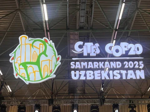 Изображение WhatsApp 2025-11-25 в 11.24.17_6395dbed.jpg