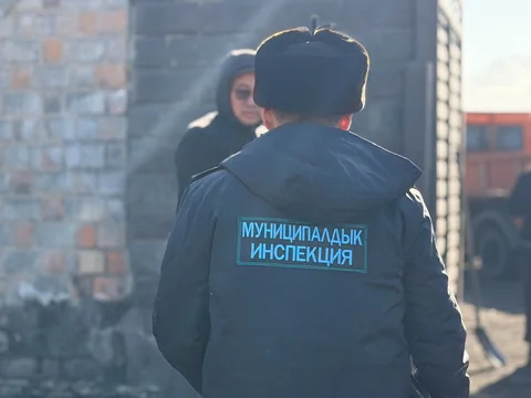 Изображение WhatsApp 2025-12-05 в 15.16.55_c6071d5f.jpg