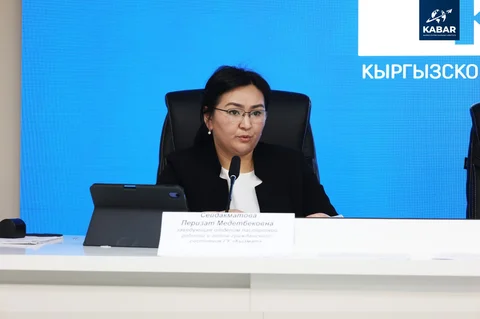 Изображение WhatsApp 2025-12-04 в 11.55.55_fbbc5727.jpg