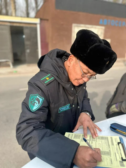 Изображение WhatsApp 2025-12-05 в 15.16.53_e3911238.jpg
