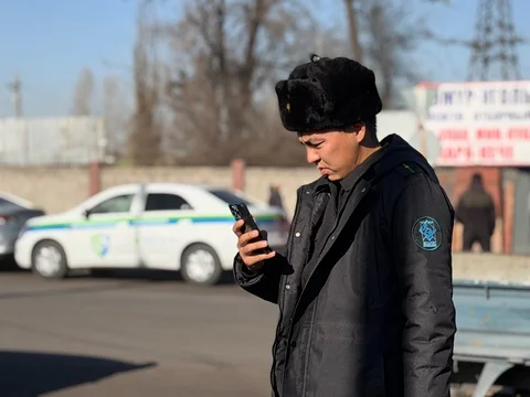 Изображение WhatsApp 2025-12-05 в 15.16.54_4f1187be.jpg